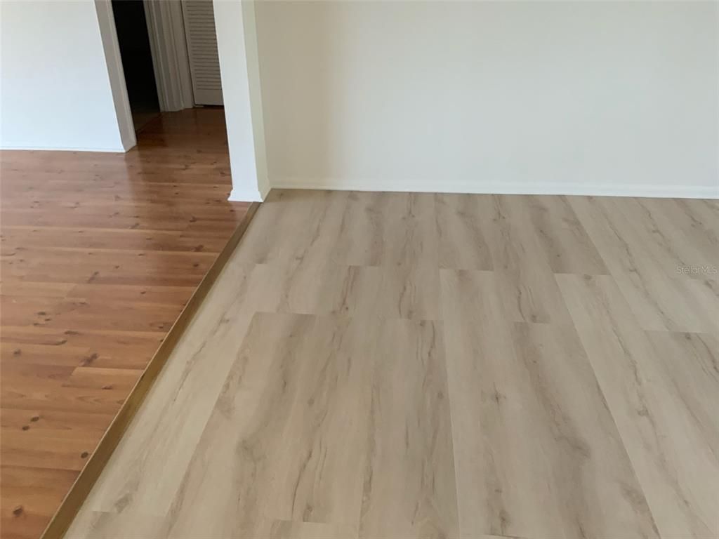 Interior, Wood Texture Flooring, Wooden Walls