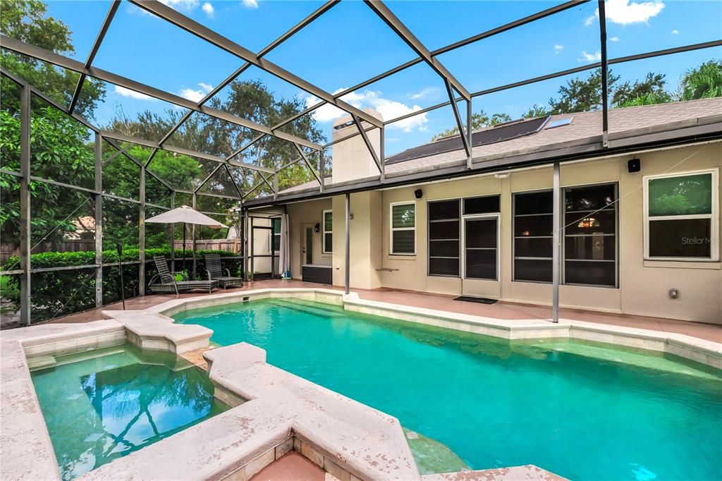 Glass Ceilings, Interior, Pool, Sun Room