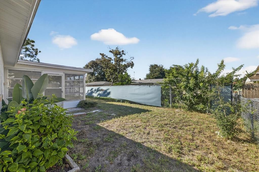 Backyard, Exterior