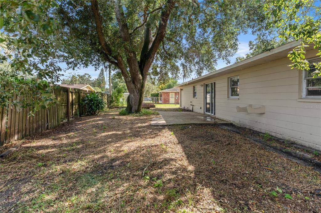 Backyard, Exterior