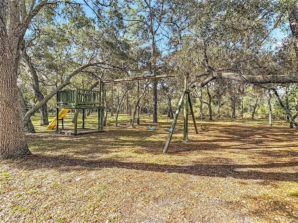 Backyard, Exterior, Playground