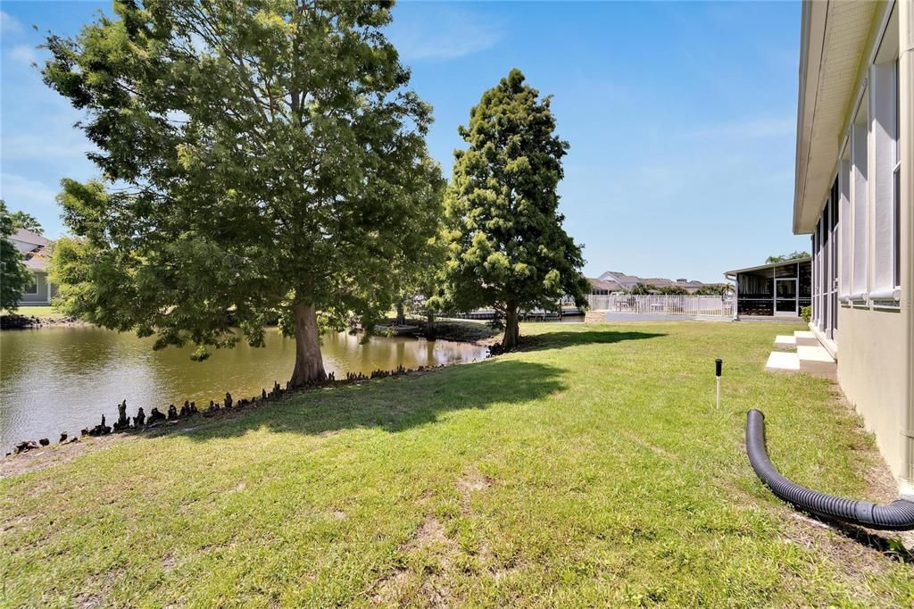 Backyard, Exterior, Water