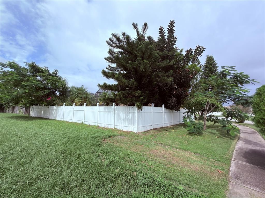 Backyard, Exterior