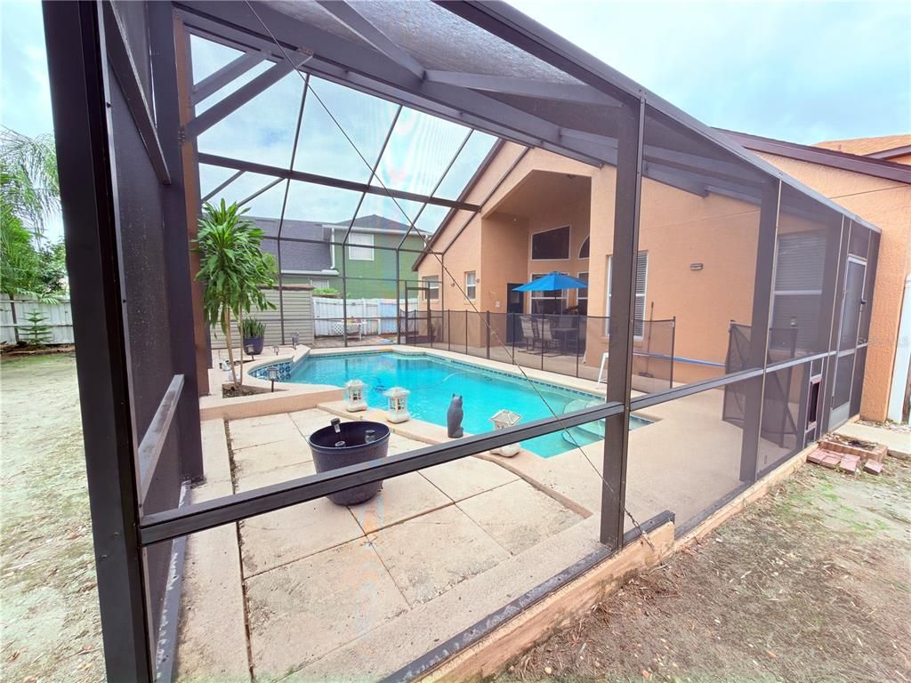Glass Ceilings, Interior, Pool, Sun Room