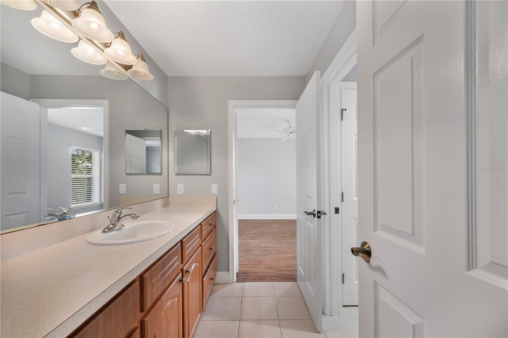 Bathroom, Dual Sink Vanities, Interior, Wood Texture Flooring