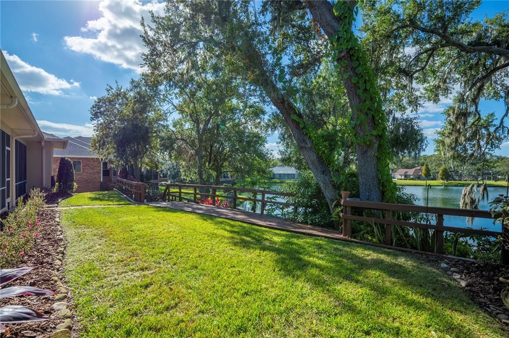 Backyard, Exterior, Water