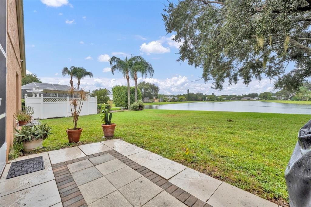 Backyard, Exterior, Water