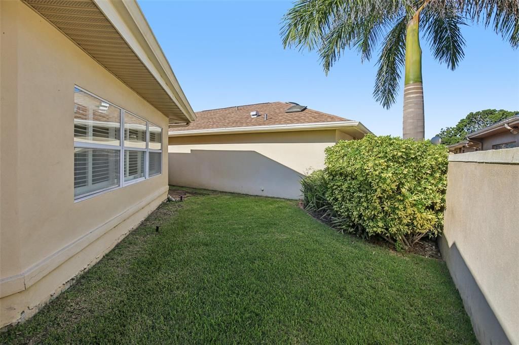 Backyard, Exterior