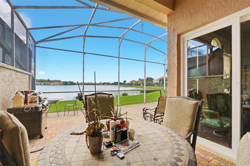 Glass Ceilings, Interior, Sun Room, Water