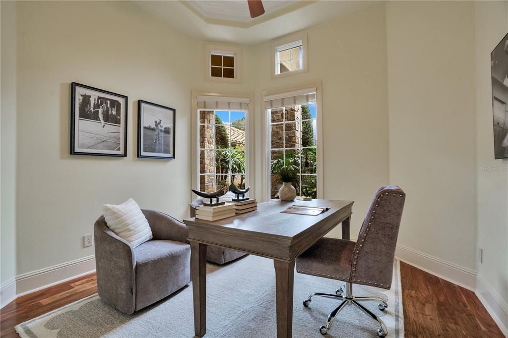 Home Office, Interior, Wood Texture Flooring