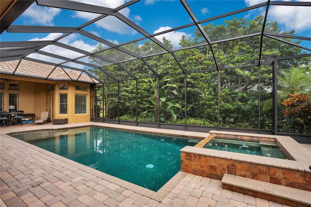Glass Ceilings, Interior, Pool, Sun Room