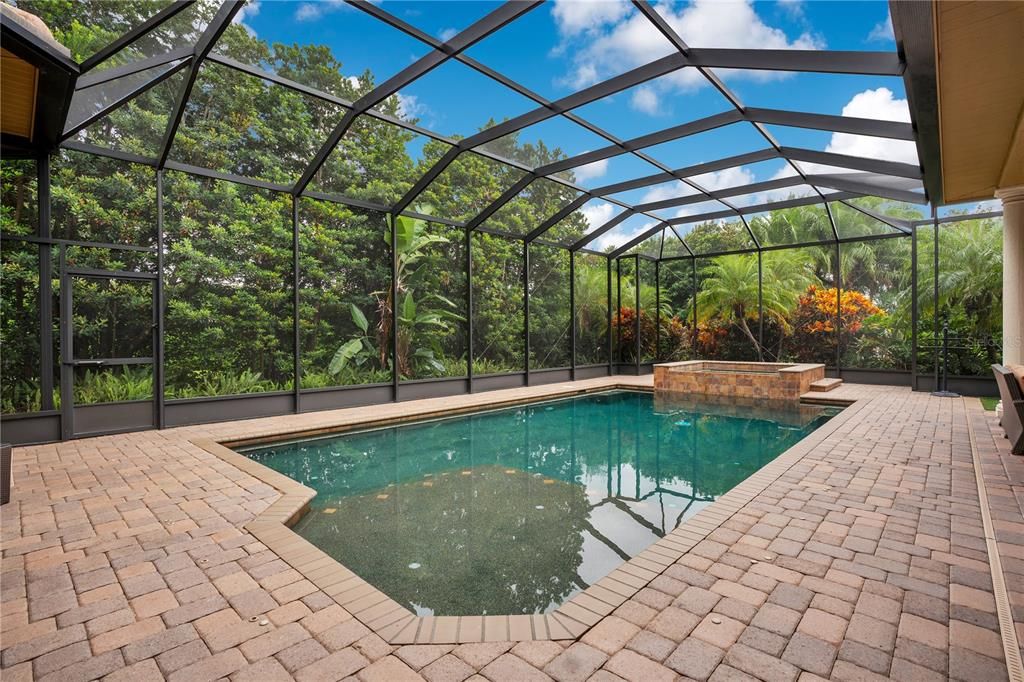 Glass Ceilings, Interior, Pool, Sun Room