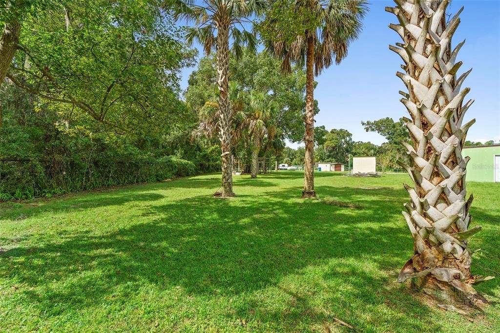 Backyard, Exterior