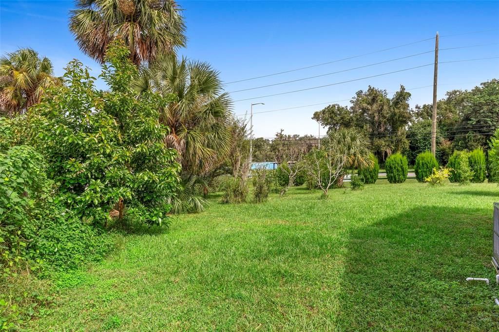 Backyard, Exterior