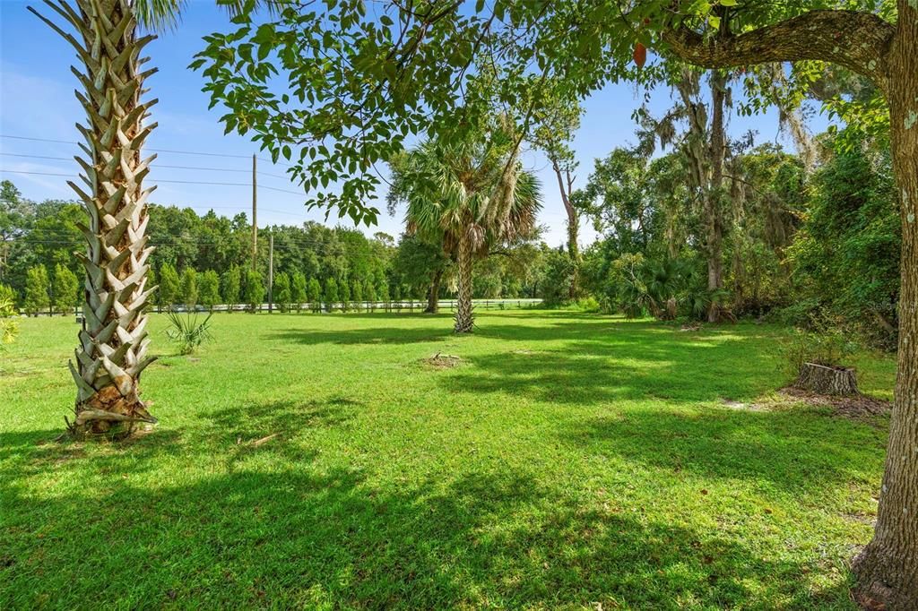 Backyard, Exterior