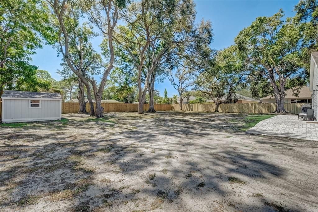 Backyard, Exterior