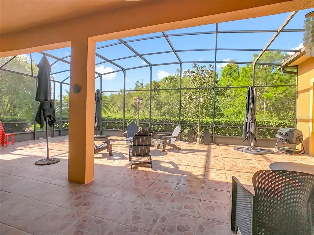 Glass Ceilings, Interior, Sun Room