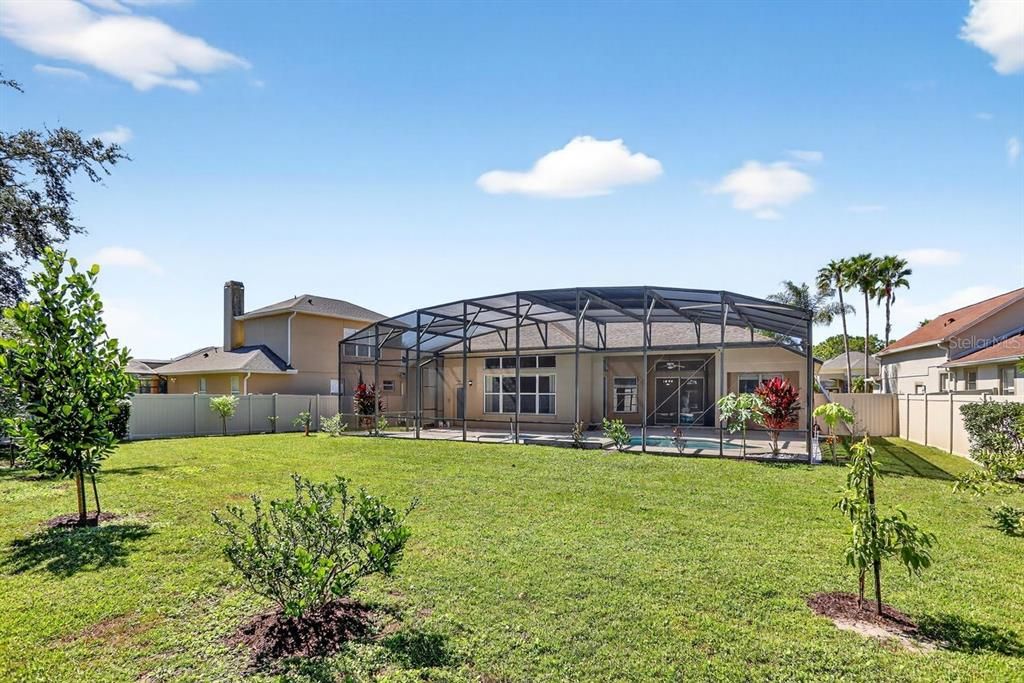 Backyard, Exterior