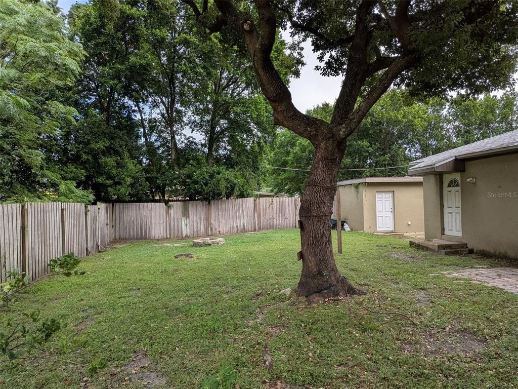 Backyard, Exterior