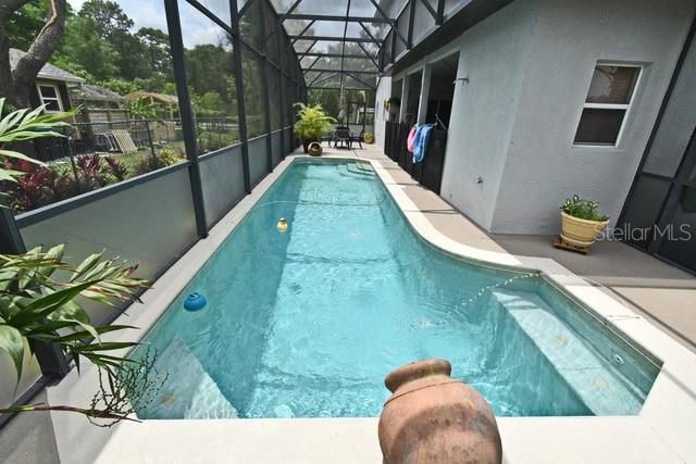Glass Ceilings, Interior, Pool, Sun Room
