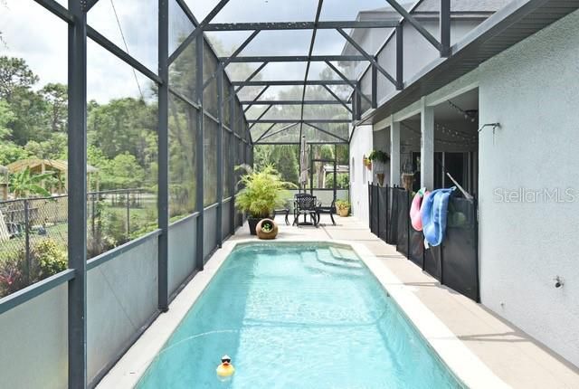 Glass Ceilings, Interior, Pool, Sun Room