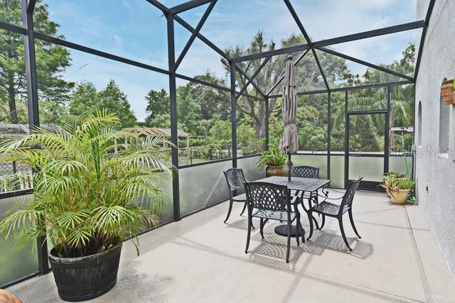 Glass Ceilings, Interior, Sun Room