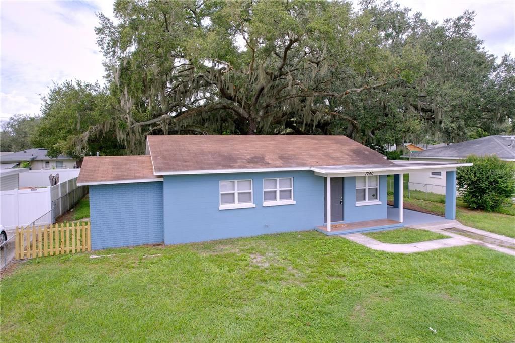 Backyard, Exterior