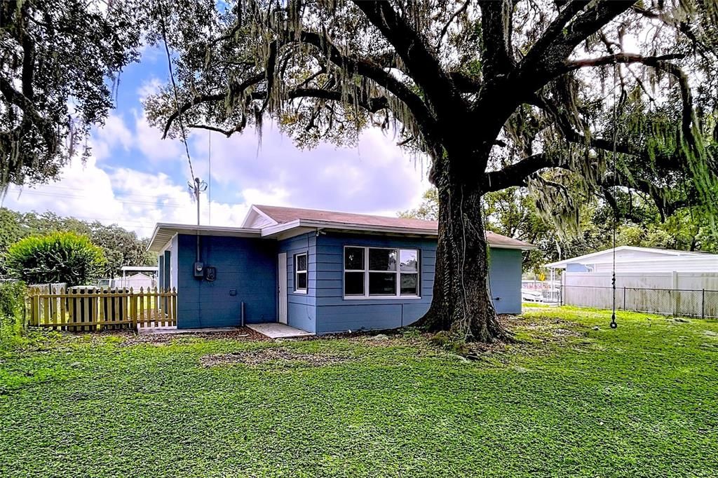 Backyard, Exterior