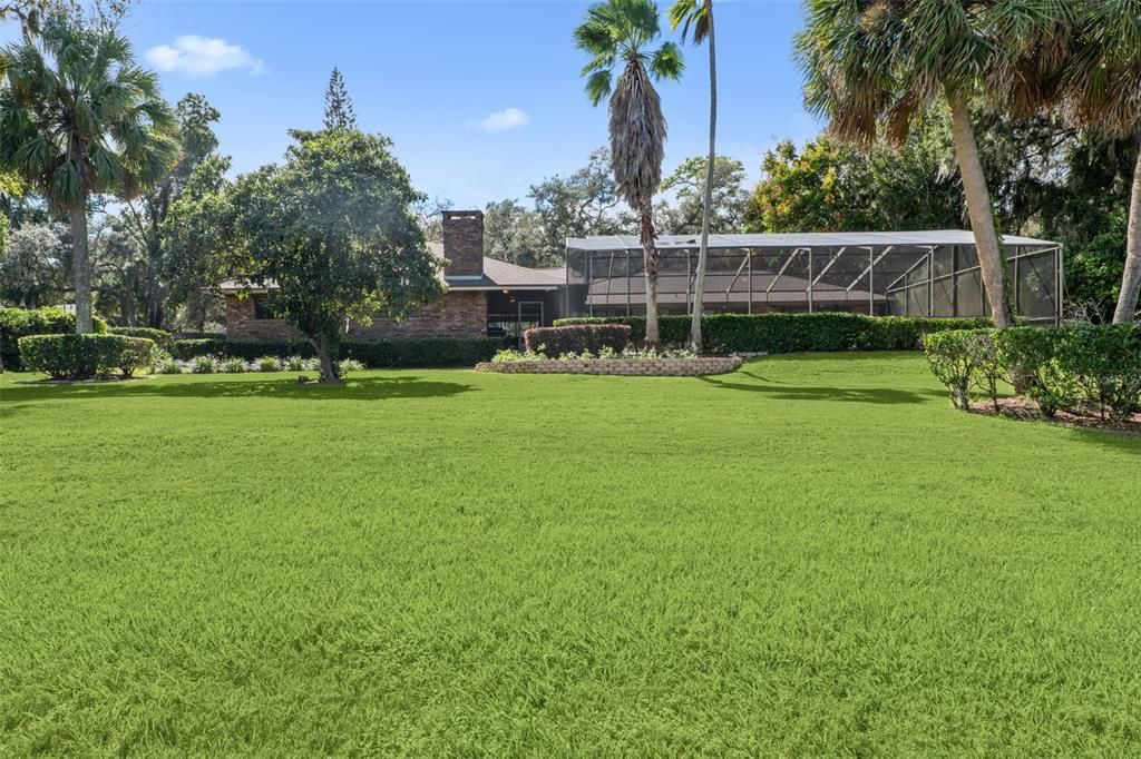 Backyard, Exterior