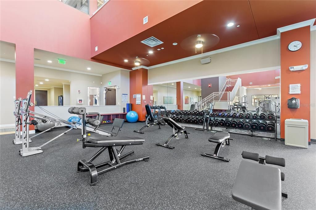 Fitness Equipment, Gym, Interior, Recessed Lighting
