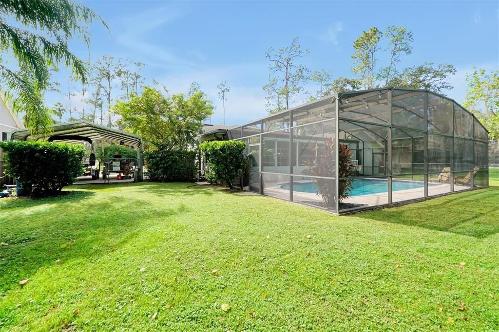 Backyard, Exterior