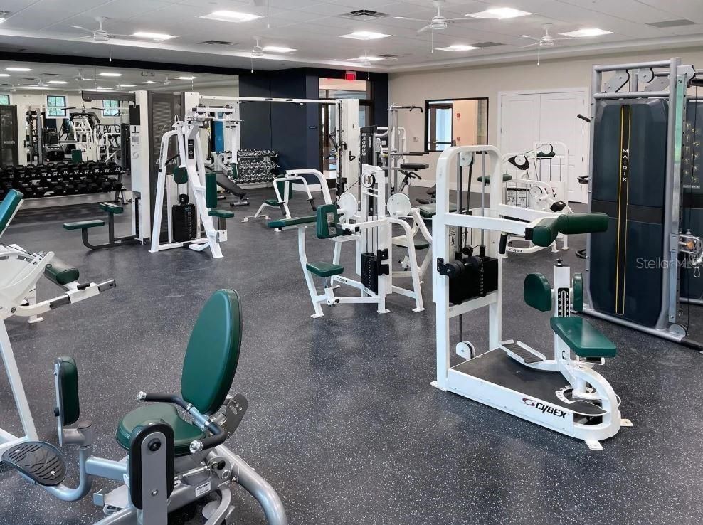 Fitness Equipment, Gym, Interior, Recessed Lighting