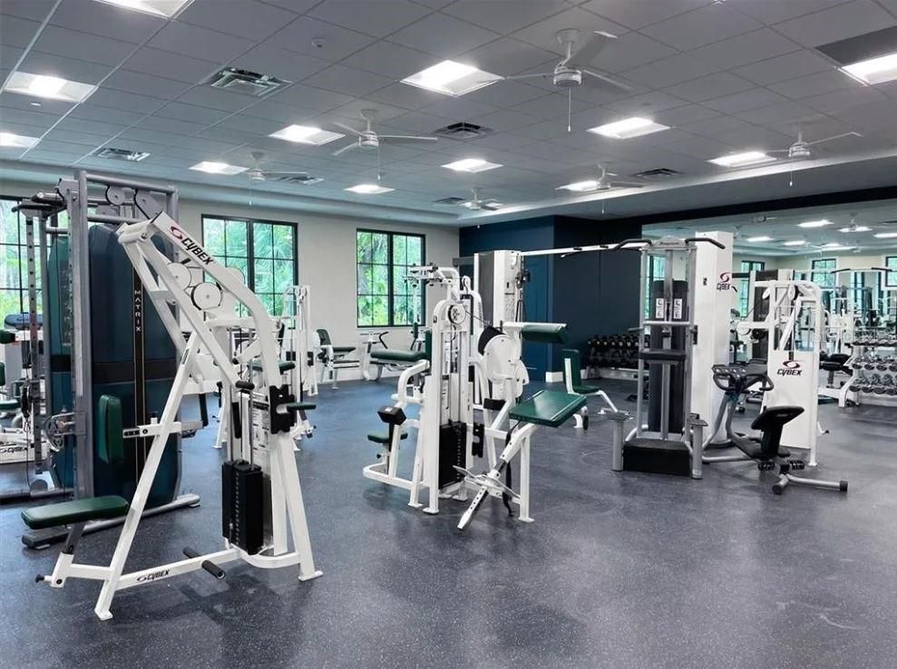 Fitness Equipment, Gym, Interior, Recessed Lighting