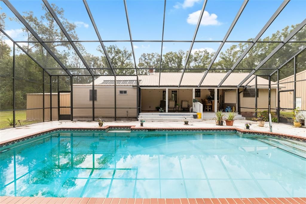Glass Ceilings, Interior, Pool, Sun Room
