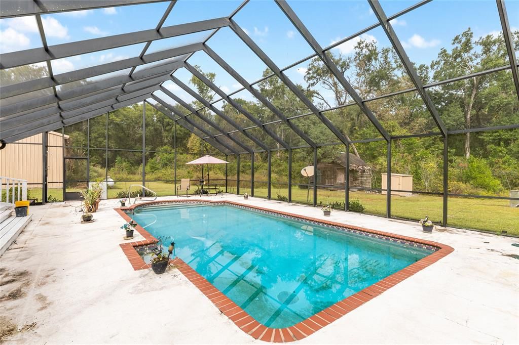 Glass Ceilings, Interior, Pool, Sun Room