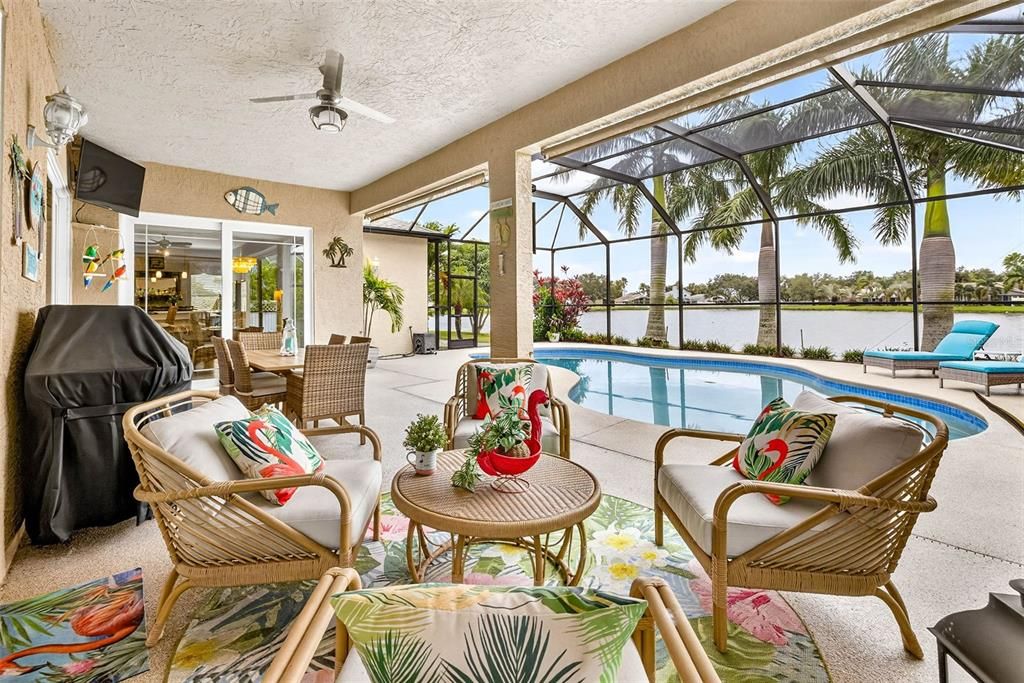Glass Ceilings, Interior, Pool, Sun Room, Water