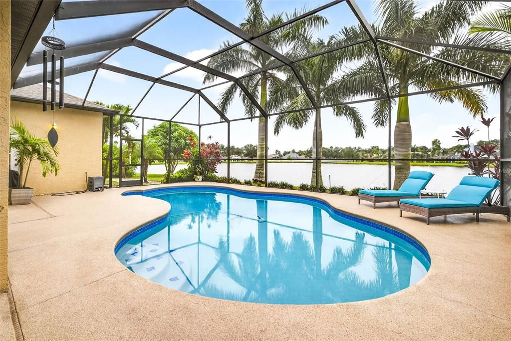 Glass Ceilings, Interior, Pool, Sun Room, Water