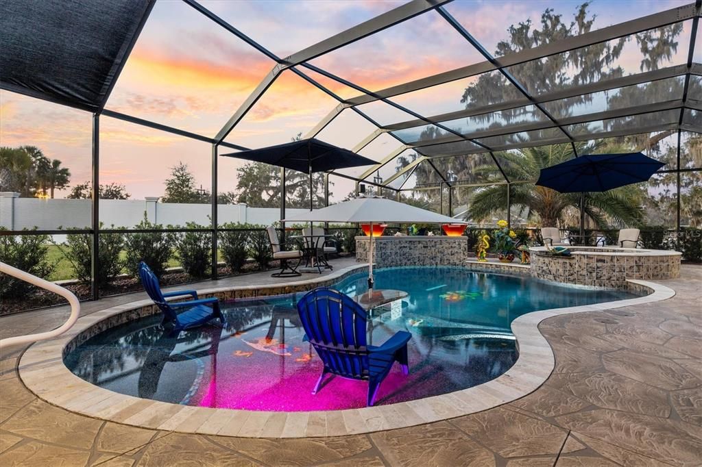 Glass Ceilings, Interior, Pool, Sun Room