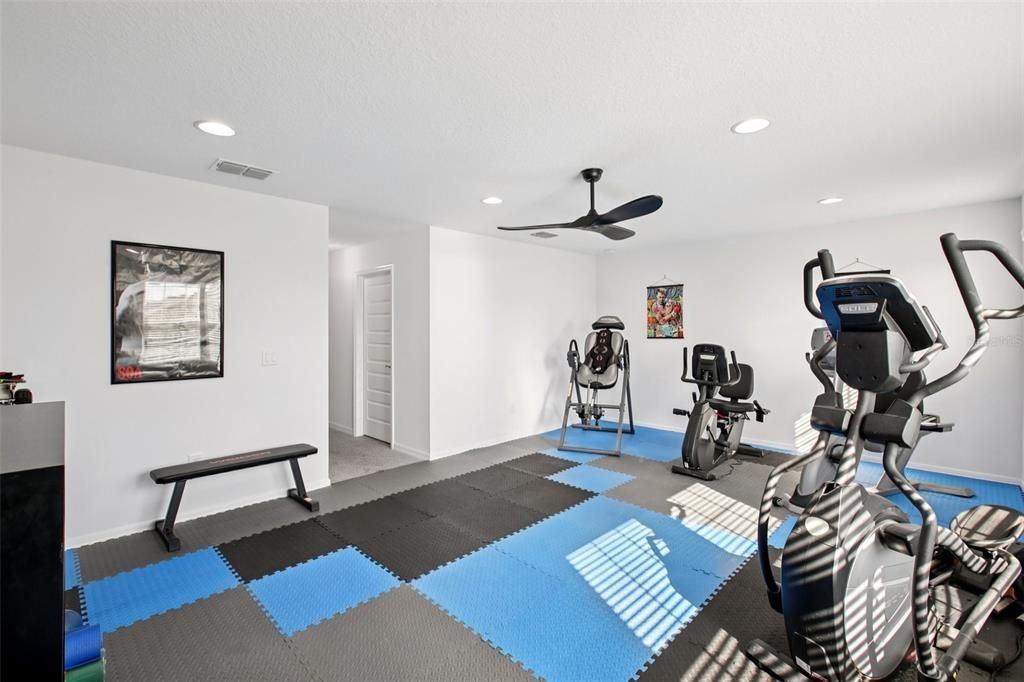 Fitness Equipment, Interior, Recessed Lighting