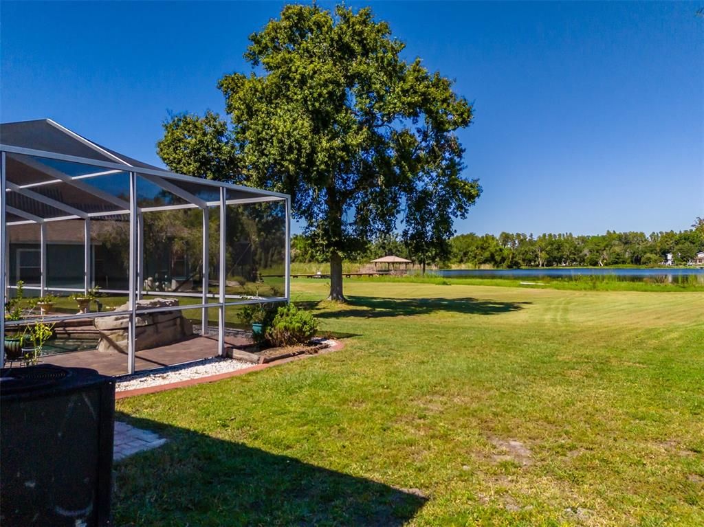 Backyard, Exterior, Water