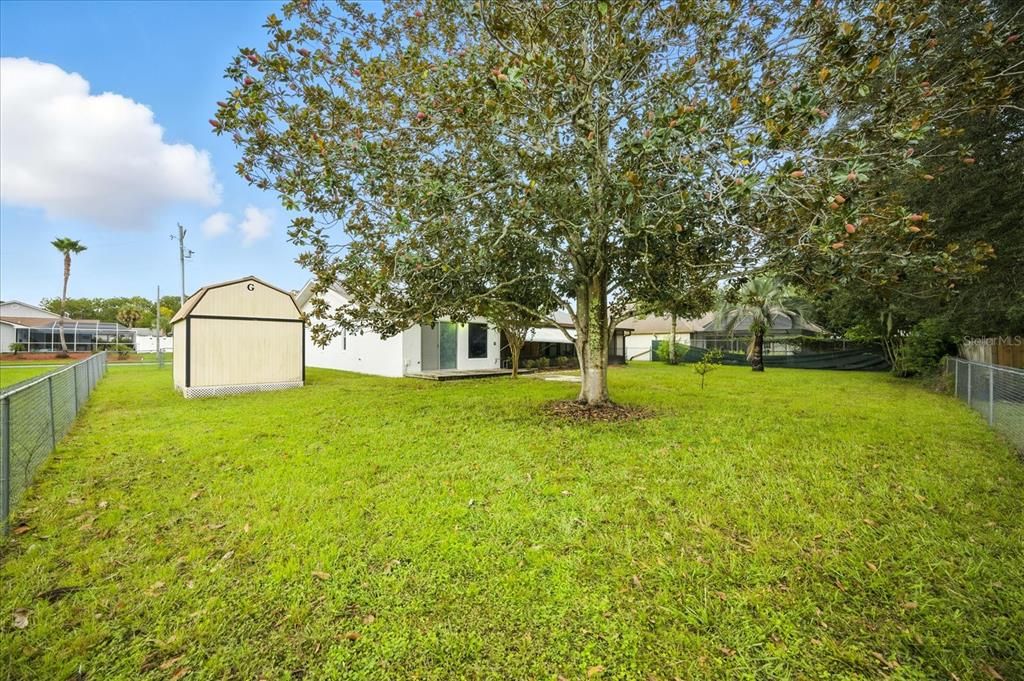 Backyard, Exterior