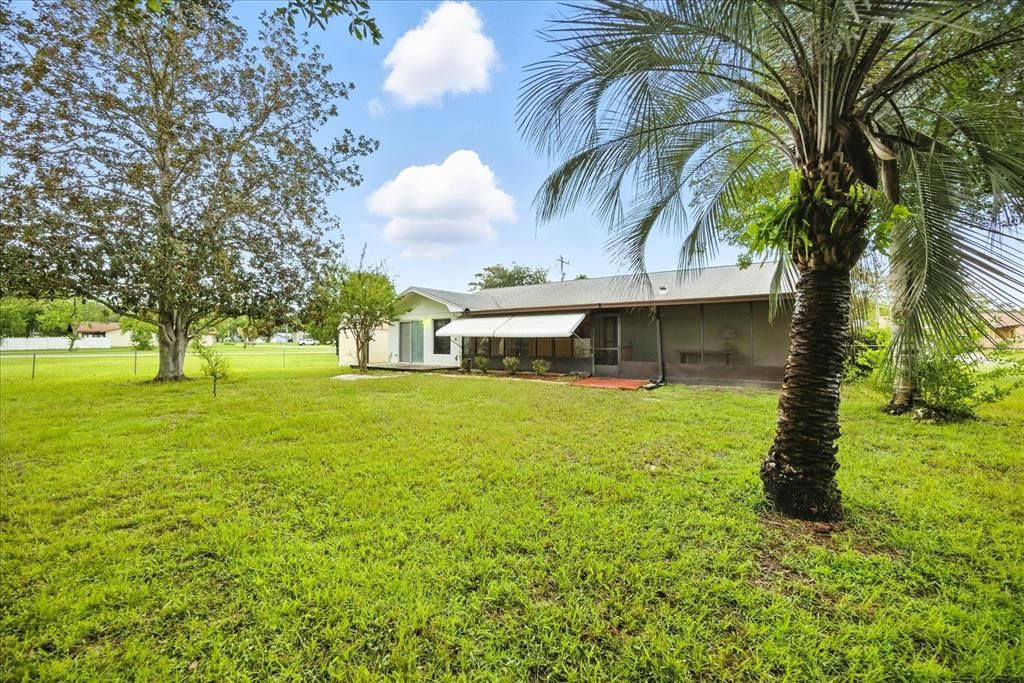 Backyard, Exterior