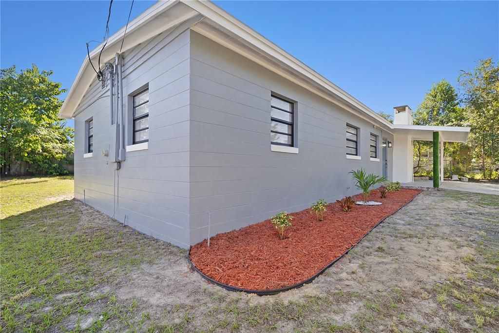 Backyard, Exterior