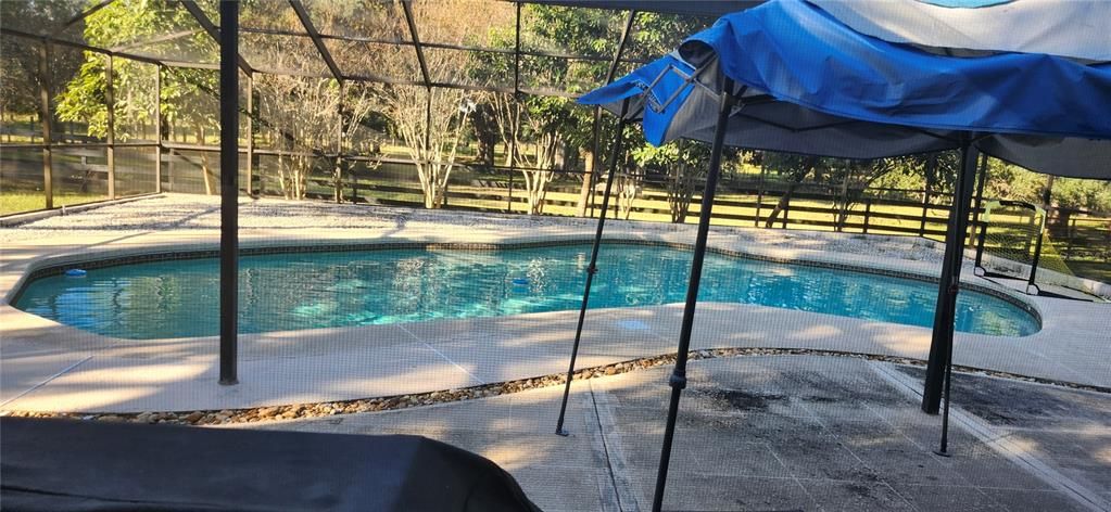 Interior, Pool, Sun Room