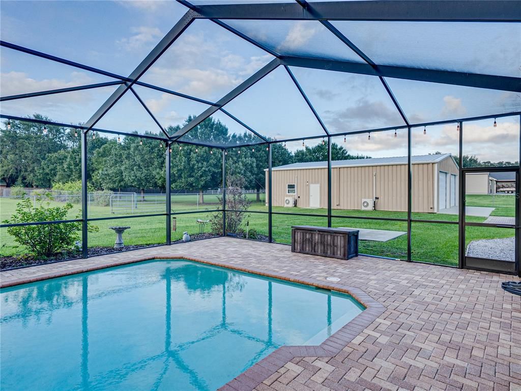 Glass Ceilings, Interior, Pool, Sun Room