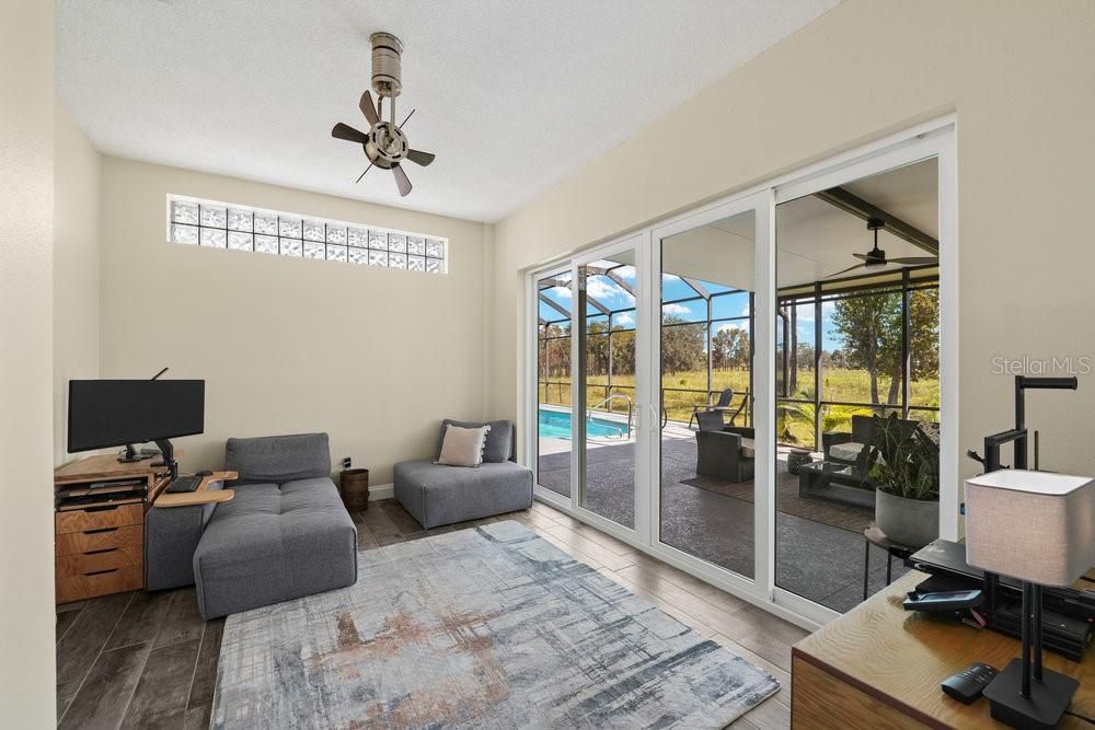 Interior, Sun Room, Wood Texture Flooring