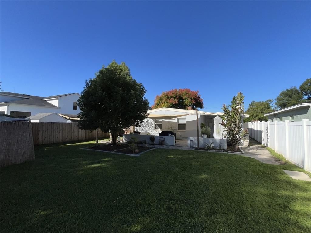 Backyard, Exterior