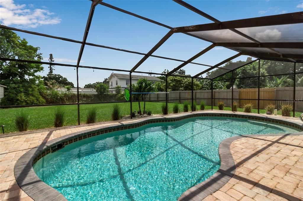 Glass Ceilings, Interior, Pool, Sun Room