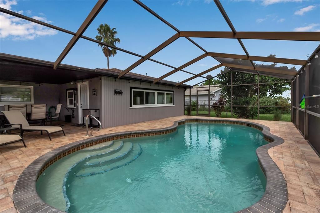 Glass Ceilings, Interior, Pool, Sun Room