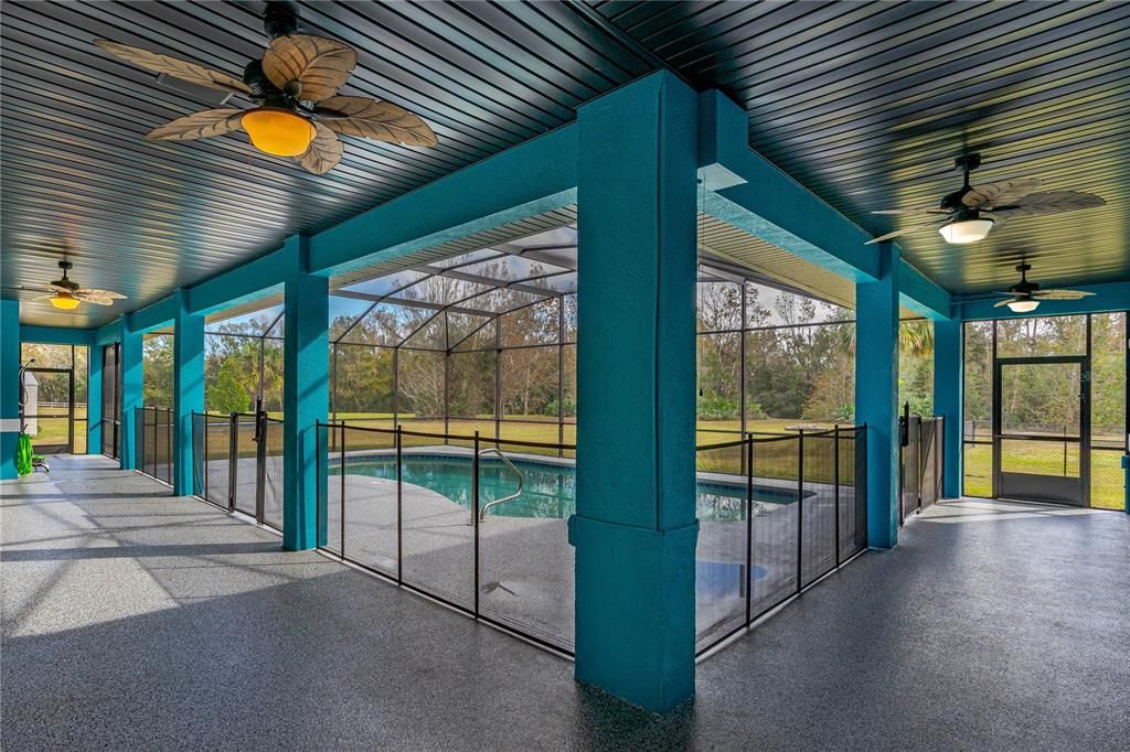 Glass Ceilings, Interior, Pool, Sun Room